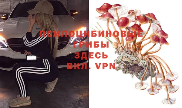 МДМА Гусиноозёрск