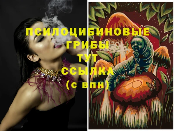 первитин Гусев