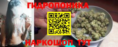 PSILOCYBIN Дубна
