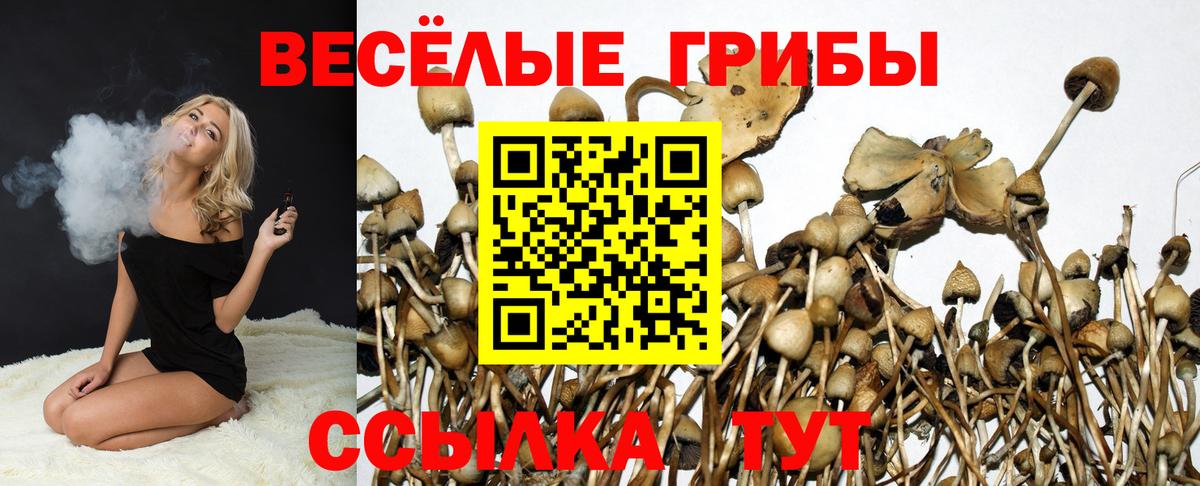 Галлюциногенные грибы GOLDEN TEACHER Мценск