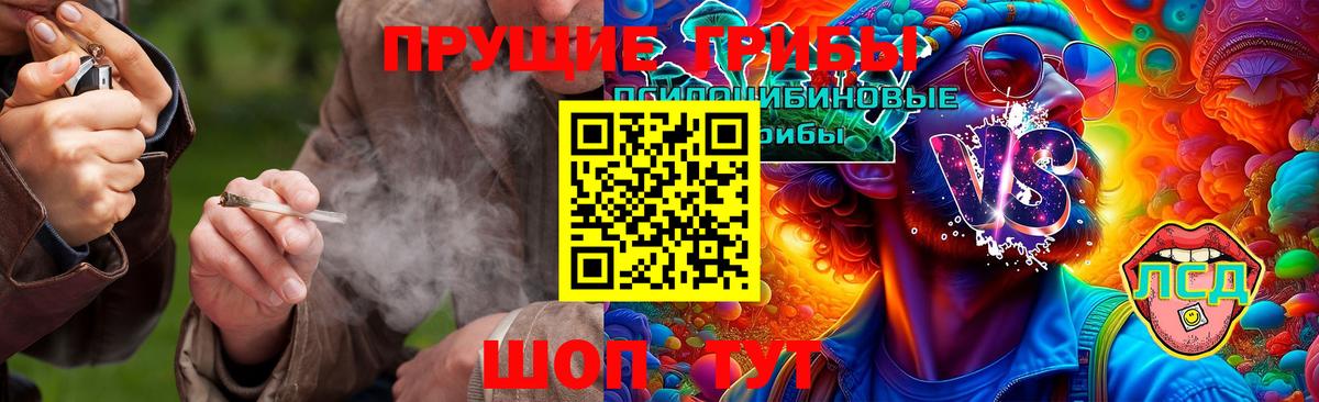 Псилоцибиновые грибы мицелий  купить закладку  Мценск 